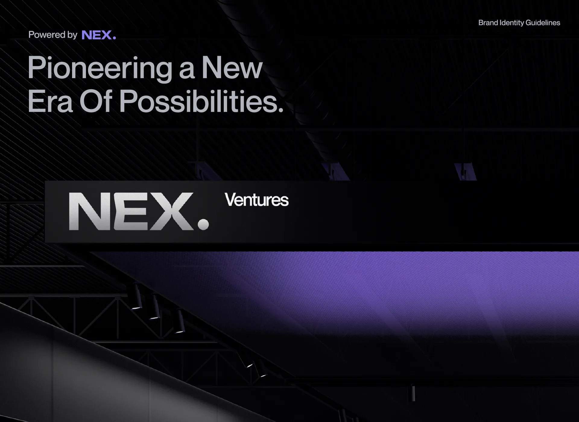 NEX Visual 1